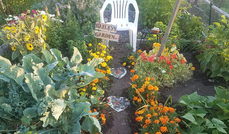 Plants and beds in a community garden with a chair and a sign that says "Bailey's Garden"