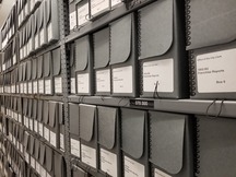 color photo of archival boxes on shelves