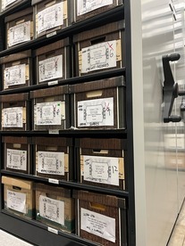 Color photo of SPD accession boxes stored on shelves