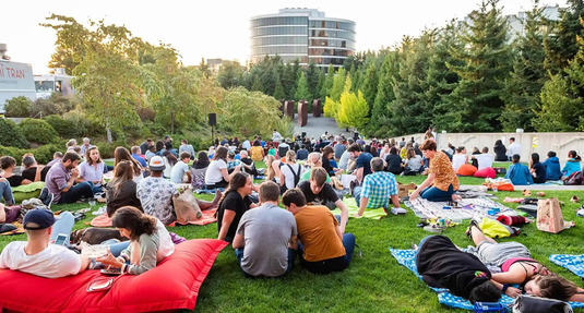 People enjoying an outdoor event on the grass