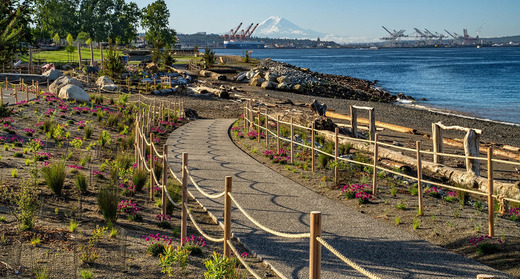 Improved upgrades to Myrtle Edwards and Centennial Parks on the Seattle's Waterfront