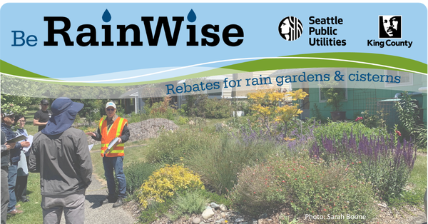 A group of contractors view a rain garden at a recent training