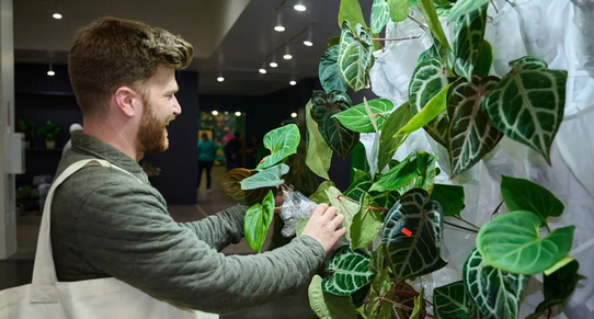 A person browsing through plants at PlantCon