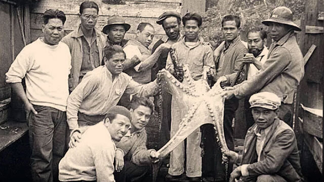 A historic black and white photo of Filipino cannery workers holding an Octopus in Alaska.