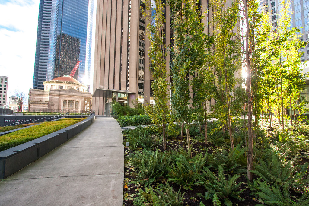 Green plants outside in a building's plaza in downtown Seattle