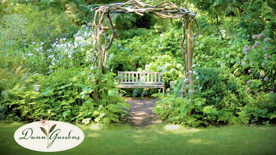 A century of green: Inside Seattle's hidden Olmsted garden