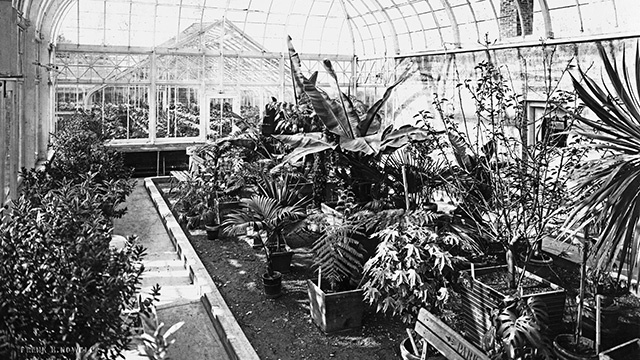 A 1914 photo of the Volunteer Park Conservatory.