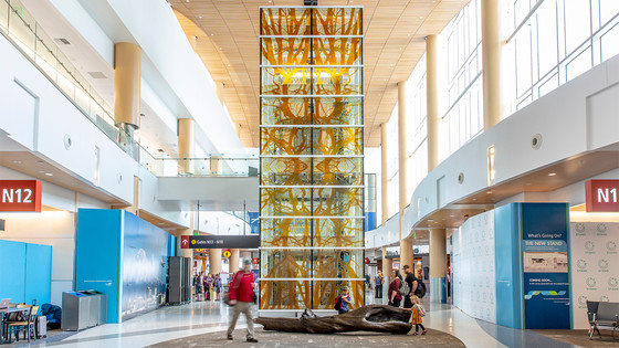 "Cathedral" is a soaring glass elevator shaft with an intricate root design