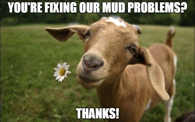 goat with flower in its mouth and text reading you're fixing our mud problems? Thanks!