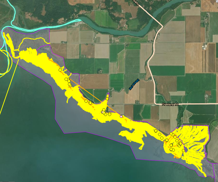 Map of walking paths for Spartina eradication efforts