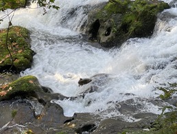 Salmon flying through the air, attempting to jump up a small waterfall.