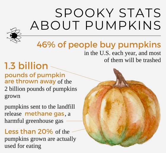 Pumpkin Stats