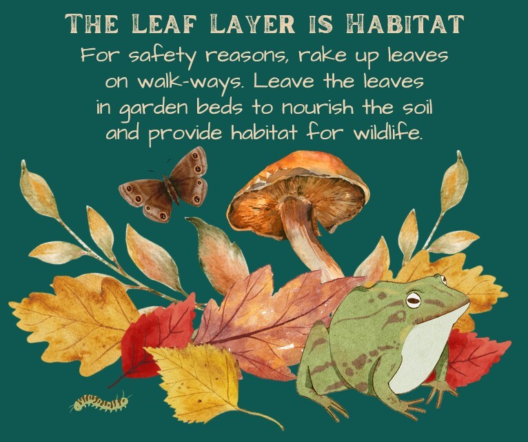 Leave the leaves