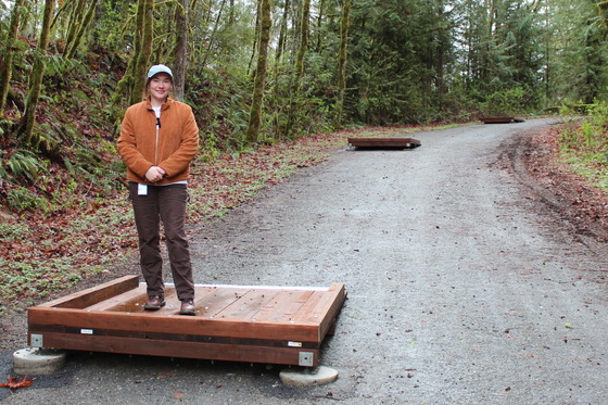 Engineering technician Renee McMinn standing on one of the wooden wheelchair ramps she designed for a steep path.