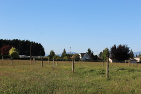 A pasture sectioned off by wire fencing on wood posts.