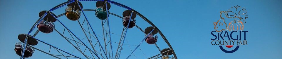 Ferris Wheel Fair 