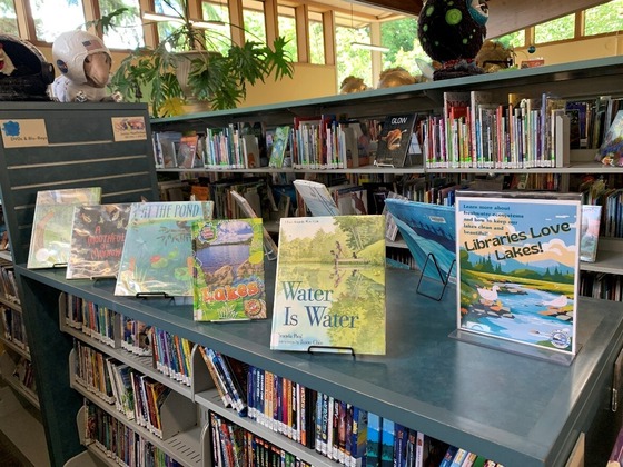Lake-themed children's books displayed on top of a bookshelf in Mount Vernon City Library.