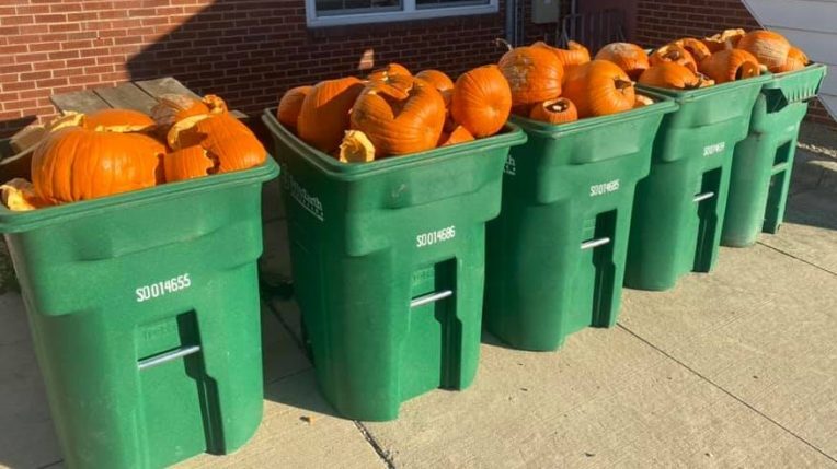 pumpkin compost