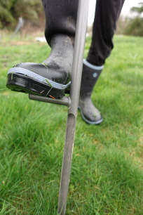 A boot-wearing foot stepping down on a soil probe to sample soil in a grassy area.