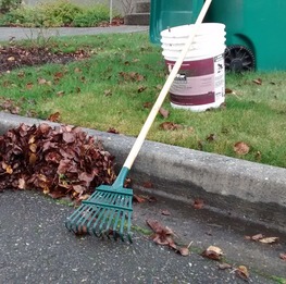 A rake leaning against a bucket and a curb with a freshly gathered pile of leaves next to it.