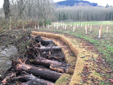 Planting and streambank stabilization along a field.