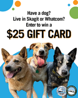 Three happy looking dogs and text that reads: "Have a dog? Live in Skagit or Whatcom? You could win a $25 gift card!"