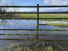 A large puddle in grass near a wooden fence.