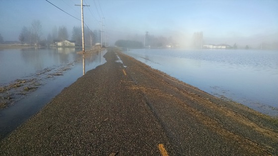 Flood water surrounding and encroaching on Sam Bell Road.