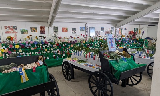 Open Class Superintendent 