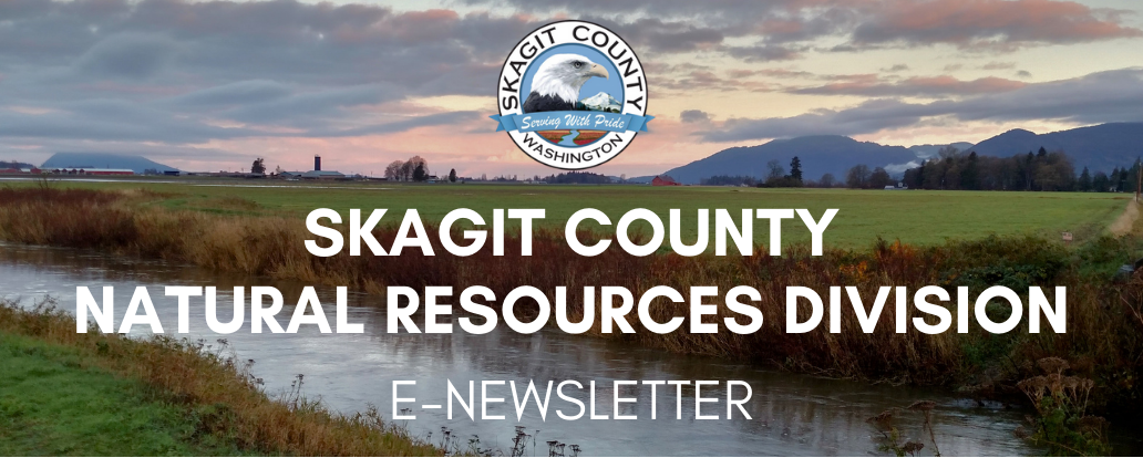 Skagit County Natural Resources Division E-Newsletter