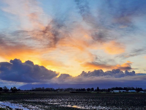 A beautiful cloudy sunrise over Skagit Valley fields.
