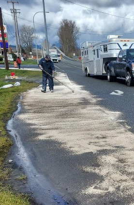 Person spreads cat litter along a roadside to soak up spilled oil.