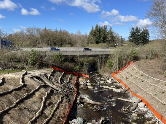 A new restoration project along Fisher Creek with the I-5 freeway visible in the background.