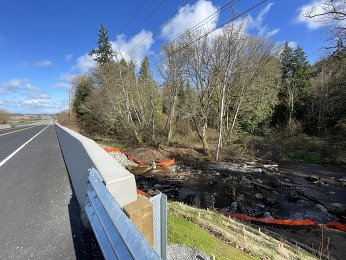 A view of the bridge over Fisher Creek and the restoration on the other side.