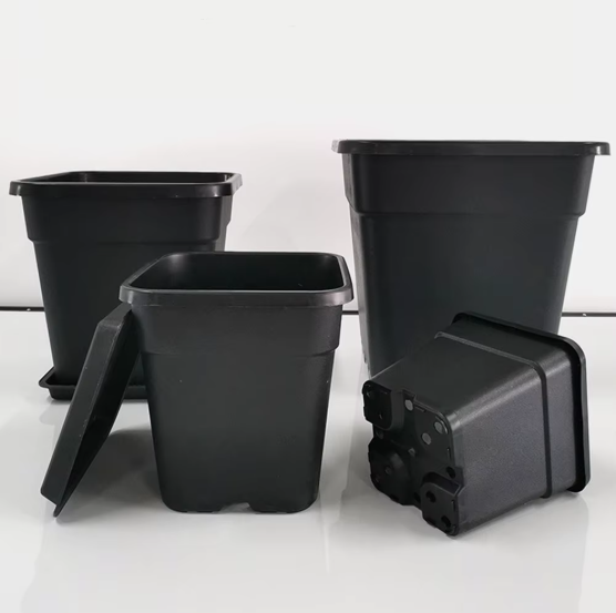 gallon pots