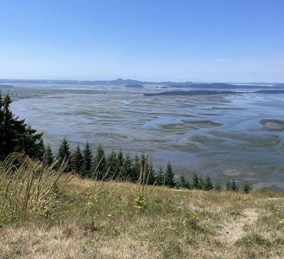 Shellfish beds in Samish Bay as seen from up high on Samish Overlook.