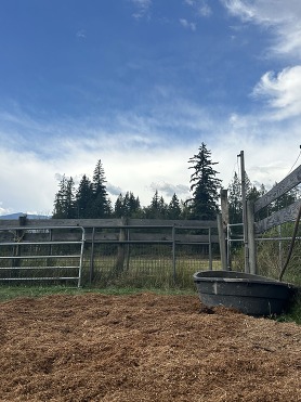 A fenced heavy use area with woodchips and a water trough.