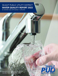 Consumer Confidence Report 2022