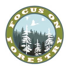 Focus on Forestry