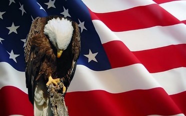 Image of Bald Eagle and American Flag