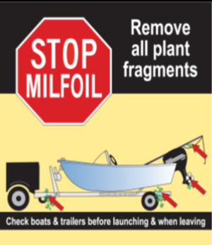 Clean, drain, and dry your boat to prevent milfoil