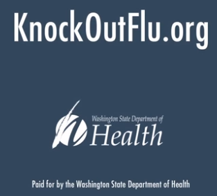 image displaying website for knockoutflu.org