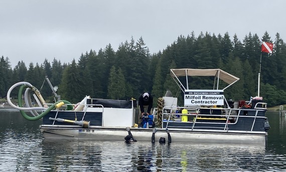 Divers prepare to survey and remove invasive milfoil from Lake Shoecraft. 