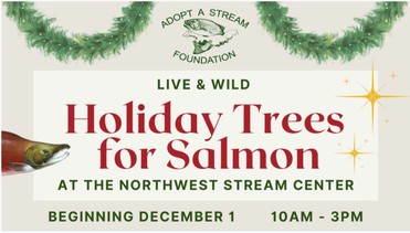 Holiday Trees for Salmon