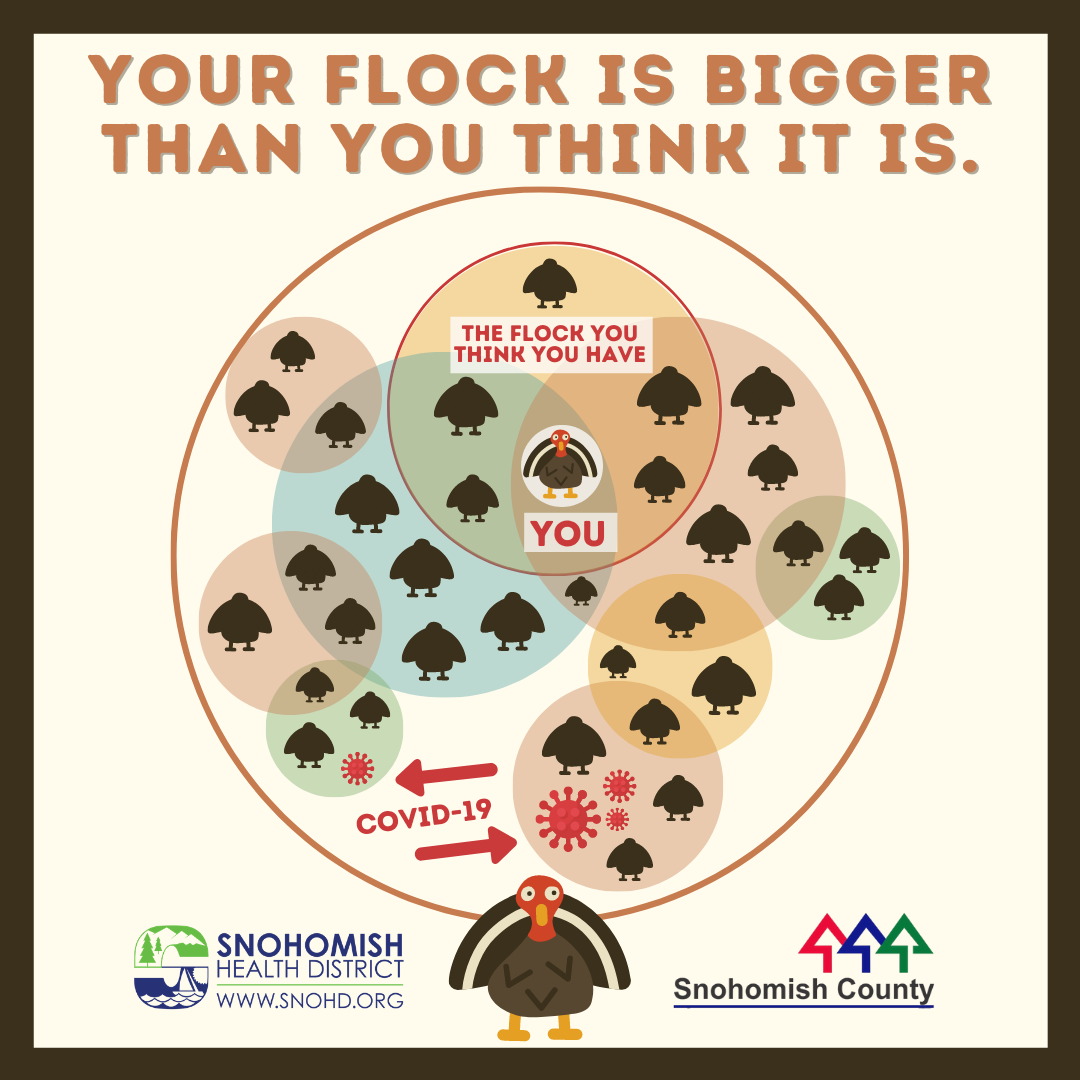 screenshot of social media video keep your flock safe and small