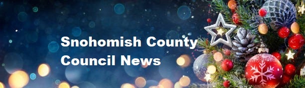 Christmas Banner