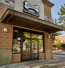 Paddywack Pet Supply