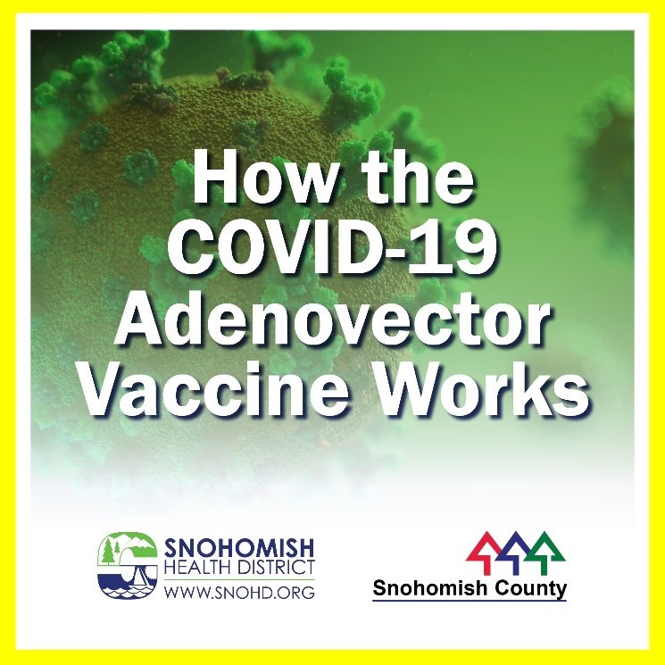 Title slide from social media video on how the COVID-19 adenovector vaccine works