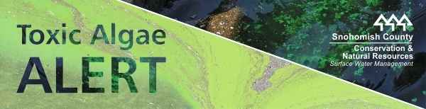 Lakes_toxic_algae_banner
