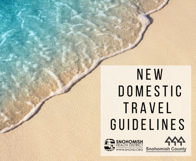 Screenshot of title screen on new domestic travel guidelines video for social media